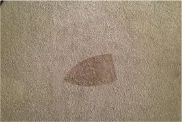 Carpet - tenant damage