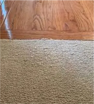 Carpet - normal wear and tear