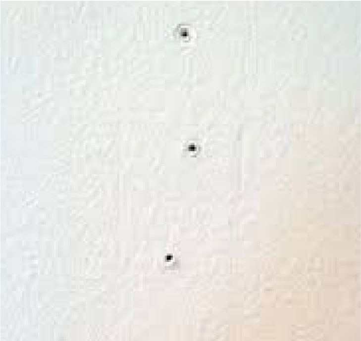 Walls - normal wear and tear